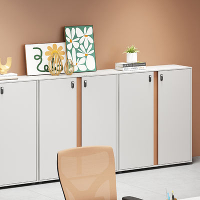 Arredamento per ufficio Arredamento per schede in acciaio Armadio Indice Carta Padlock Arredamento per scrivania